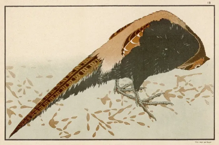 Framed Print : Pheasant (Hokusai) Framed Print : Pheasant (Hokusai)