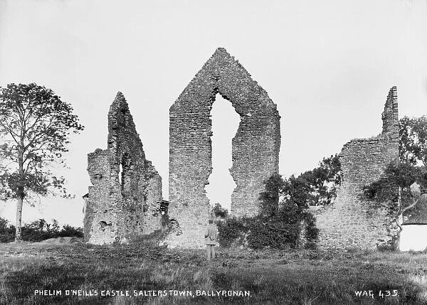 Phelim O Neills Castle, Salterstown, Ballyronan