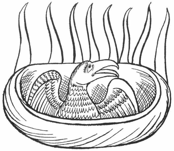Framed Print : The Phoenix in its nest of spices, fanning the flames with its wings Framed Print : The Phoenix in its nest of spices, fanning the flames with its wings