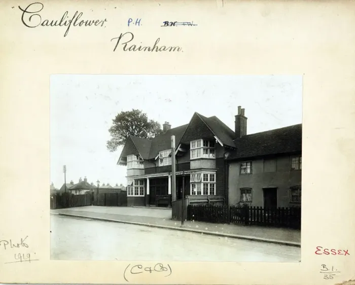 Framed Print : Photograph of Cauliflower PH, Rainham, Greater London Framed Print : Photograph of Cauliflower PH, Rainham, Greater London