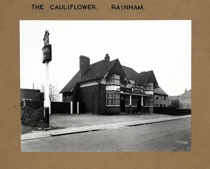 Framed Print : Photograph of Cauliflower PH, Rainham, Greater London Framed Print : Photograph of Cauliflower PH, Rainham, Greater London
