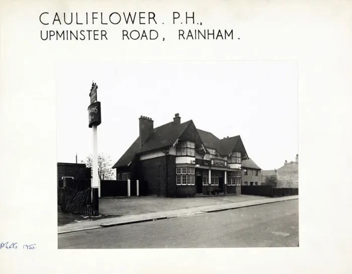 Framed Print : Photograph of Cauliflower PH, Rainham, Greater London Framed Print : Photograph of Cauliflower PH, Rainham, Greater London
