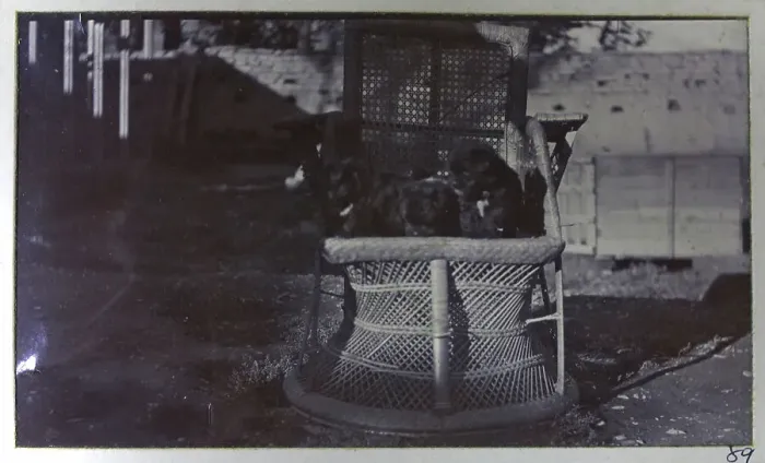 Framed Print : Photograph from a fascinating album which reveals new details on a little-known campaign in which a British military force brushed aside Tibetan defences to capture Lhasa, in 1904 Framed Print : Photograph from a fascinating album which reveals new details on a little-known campaign in which a British military force brushed aside Tibetan defences to capture Lhasa, in 1904