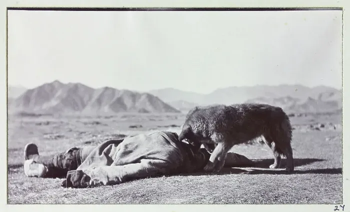 Framed Print : Photograph from a fascinating album which reveals new details on a little-known campaign in which a British military force brushed aside Tibetan defences to capture Lhasa, in 1904 Framed Print : Photograph from a fascinating album which reveals new details on a little-known campaign in which a British military force brushed aside Tibetan defences to capture Lhasa, in 1904