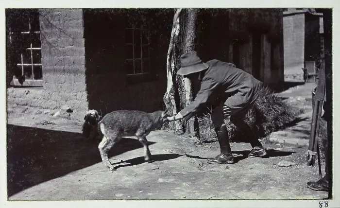 Framed Print : Photograph from a fascinating album which reveals new details on a little-known campaign in which a British military force brushed aside Tibetan defences to capture Lhasa, in 1904 Framed Print : Photograph from a fascinating album which reveals new details on a little-known campaign in which a British military force brushed aside Tibetan defences to capture Lhasa, in 1904