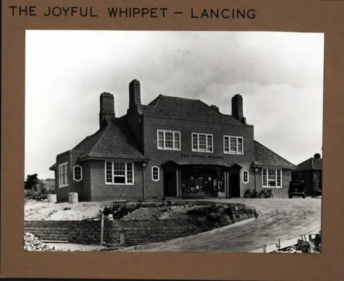 Framed Print : Photograph of Joyful Whippet PH, Lancing, Sussex Framed Print : Photograph of Joyful Whippet PH, Lancing, Sussex
