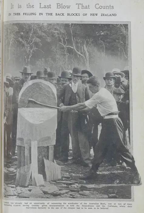 Framed Print : Photograph of New Zealand woodcutter with axe and spectators looking on. Outdoor reportage photograph. Captioned, It is the Last Blow That Counts: in tree felling in the back blocks of New Zealand Framed Print : Photograph of New Zealand woodcutter with axe and spectators looking on. Outdoor reportage photograph. Captioned, It is the Last Blow That Counts: in tree felling in the back blocks of New Zealand