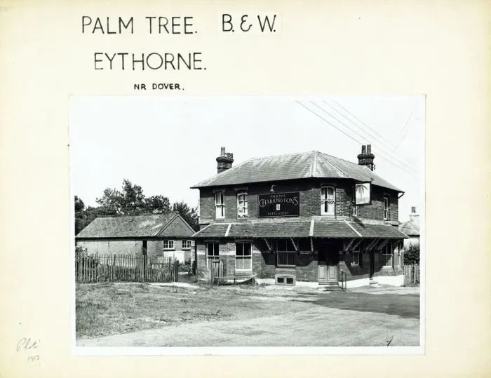 Framed Print : Photograph of Palm Tree PH, Eythorne, Kent Framed Print : Photograph of Palm Tree PH, Eythorne, Kent