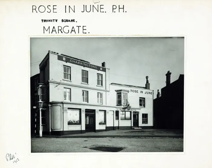 Framed Print : Photograph of Rose In June PH, Margate, Essex Framed Print : Photograph of Rose In June PH, Margate, Essex