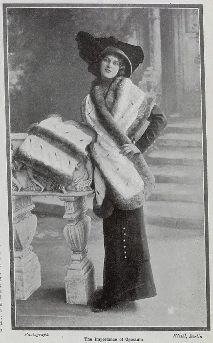 Framed Print : Photograph of woman modelling opossum fur. With description, The Importance of Opossum; Our photograph shows a quaint pelerine scarf of pure white ermine, the centre sparsely sprinkled with real black tails Framed Print : Photograph of woman modelling opossum fur. With description, The Importance of Opossum; Our photograph shows a quaint pelerine scarf of pure white ermine, the centre sparsely sprinkled with real black tails