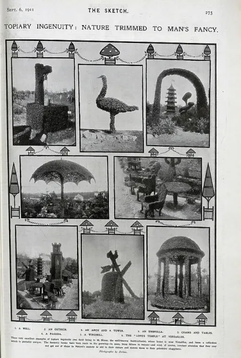 Framed Print : Photographs of elaborate topiary Framed Print : Photographs of elaborate topiary