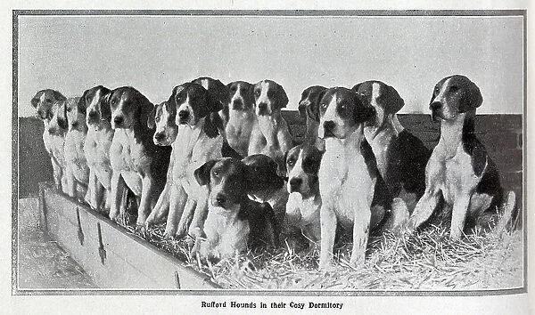 Photographs of the Rufford hounds, with huntsmen, in front of Thoresby Park, and Earl Manvers on horseback, Master of the Rufford Hunt. From a series of articles, Famous Hunts at home