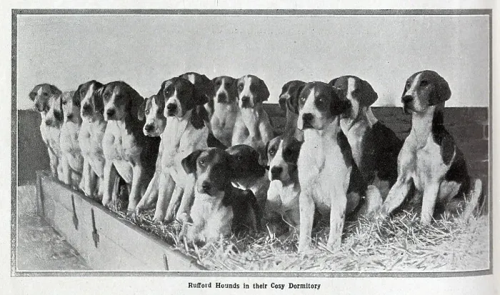Framed Print : Photographs of the Rufford hounds, with huntsmen, in front of Thoresby Park, and Earl Manvers on horseback, Master of the Rufford Hunt. From a series of articles, Famous Hunts at home Framed Print : Photographs of the Rufford hounds, with huntsmen, in front of Thoresby Park, and Earl Manvers on horseback, Master of the Rufford Hunt. From a series of articles, Famous Hunts at home