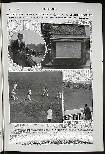Photographs showing how cricket is photographed