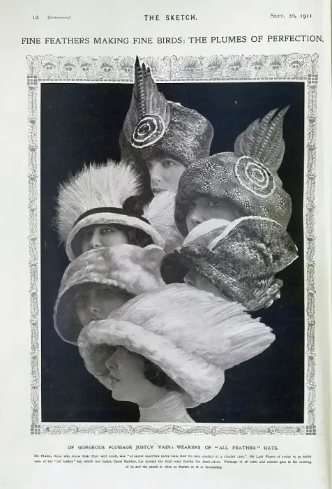 Framed Print : Photomontage of women in feathered hats Framed Print : Photomontage of women in feathered hats