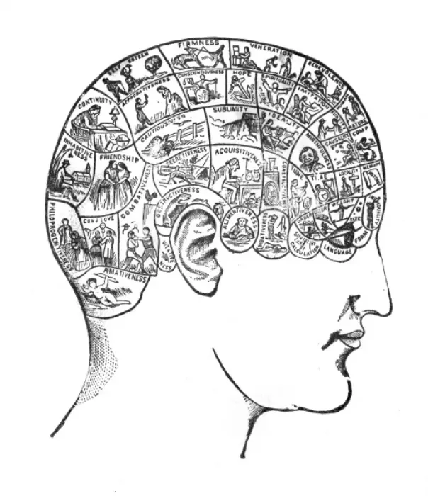 Framed Print : Phrenology - Traits Framed Print : Phrenology - Traits