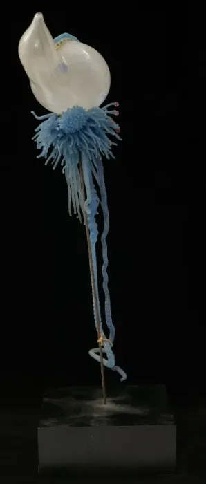 Framed Print : Physalia pelagica, jellyfish Framed Print : Physalia pelagica, jellyfish