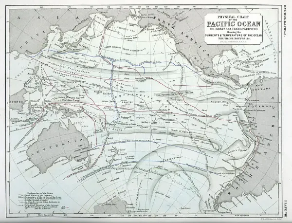Physical chart of South Pacific Ocean currents highlighting the East Australian Current