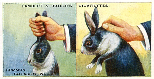 How to Pick up Rabbits