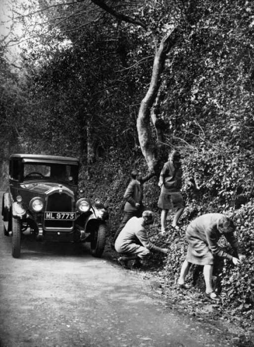 Framed Print : Picking berries by the roadside, 1927 Framed Print : Picking berries by the roadside, 1927