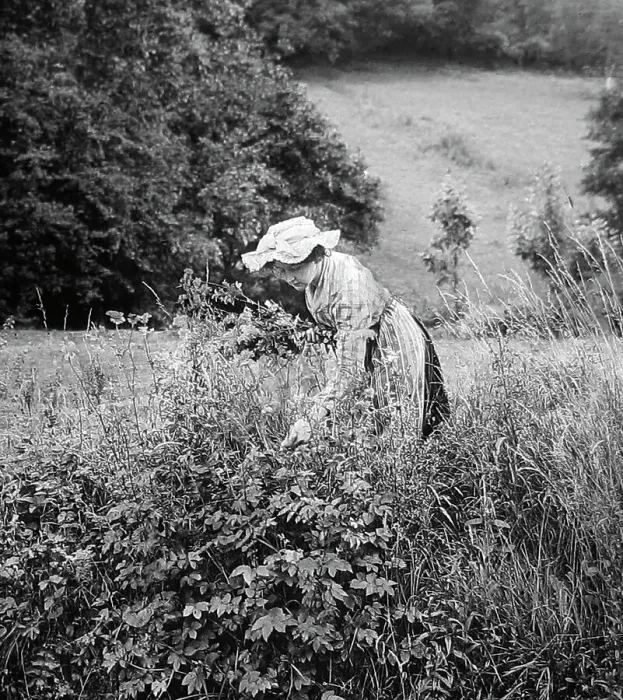 Framed Print : Picking daisies Framed Print : Picking daisies
