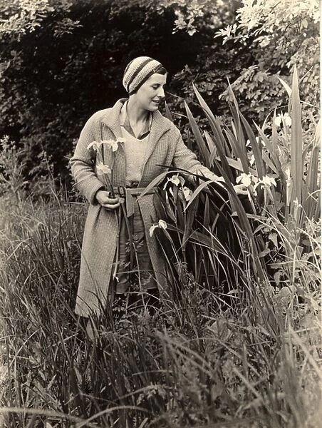 Picking flowers in the 1930s