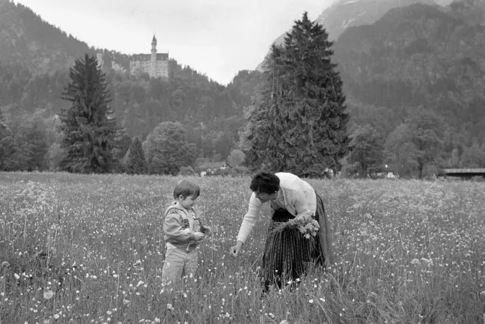 Framed Print : Picking flowers below Ludwigs Castle, Fussen, Bavaria Framed Print : Picking flowers below Ludwigs Castle, Fussen, Bavaria