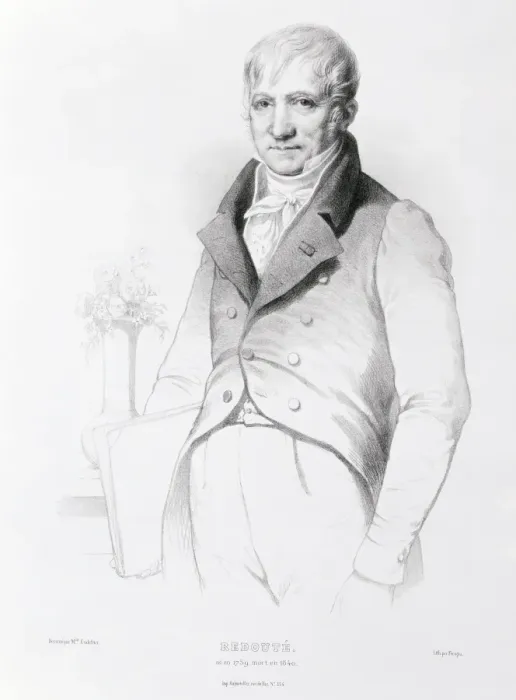Framed Print : Pierre-Joseph Redoute (1759-1840) Framed Print : Pierre-Joseph Redoute (1759-1840)