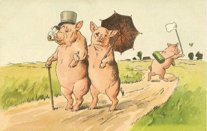 Framed Print : Pig Couple Date: 1910 Framed Print : Pig Couple Date: 1910