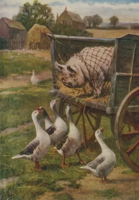 Framed Print : Pig Off to Market 1910 Framed Print : Pig Off to Market 1910