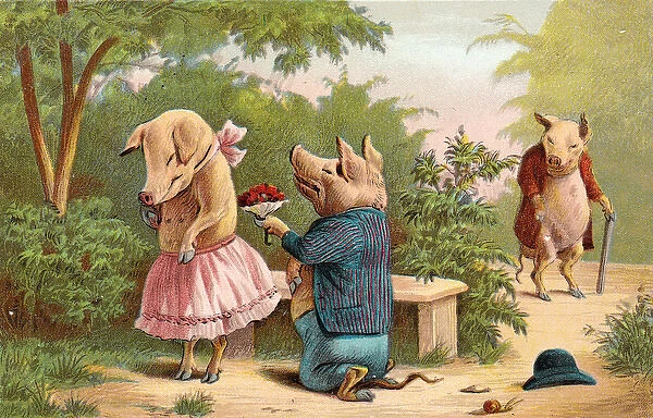 Pig proposal on a Valentine postcard