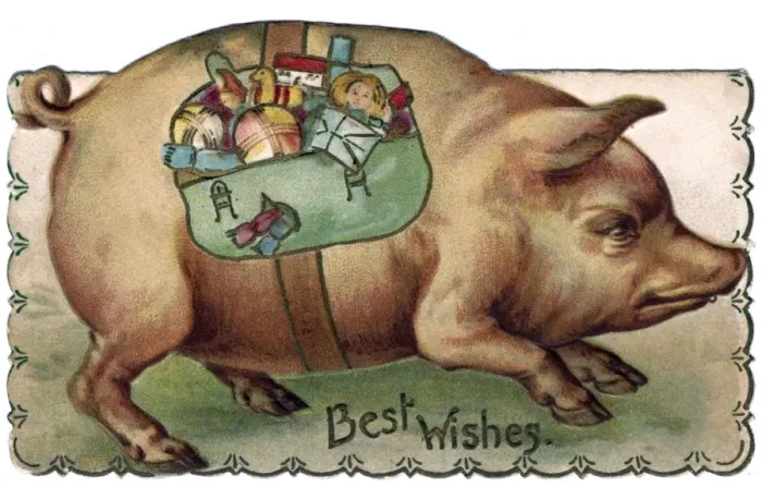 Framed Print : Pig with toys strapped to its side Framed Print : Pig with toys strapped to its side