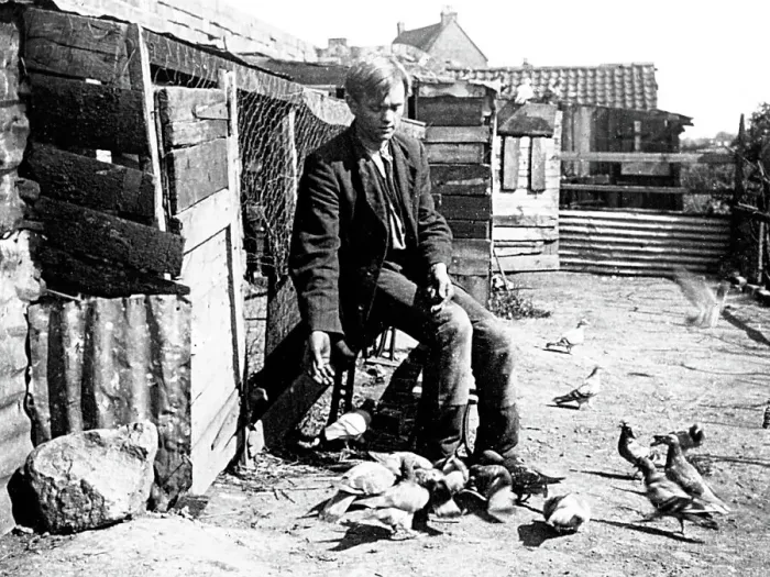 Framed Print : Pigeon fancier Framed Print : Pigeon fancier