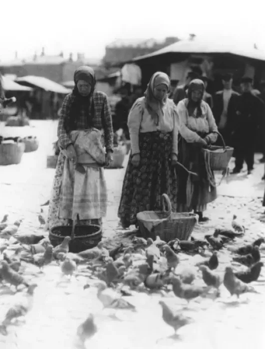 Framed Print : Pigeon Feeding - Moscow Framed Print : Pigeon Feeding - Moscow