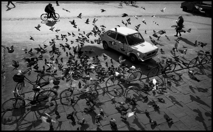 Framed Print : Pigeons and bicycles Piazza Cavilieri, Pisa, Italy Framed Print : Pigeons and bicycles Piazza Cavilieri, Pisa, Italy