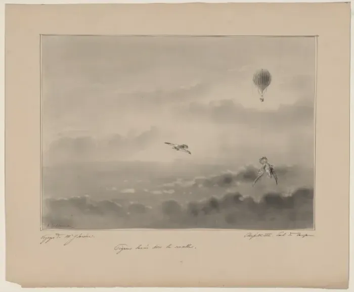 Framed Print : Pigeons lonces hors la nacelle Framed Print : Pigeons lonces hors la nacelle