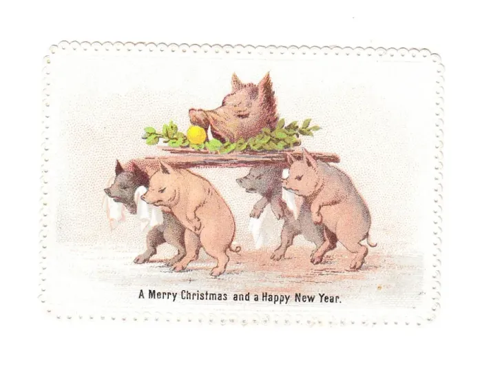 Framed Print : Pigs with boars head on a Christmas card Framed Print : Pigs with boars head on a Christmas card