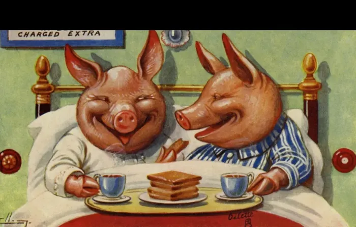 Framed Print : Pigs breakfast in bed Framed Print : Pigs breakfast in bed