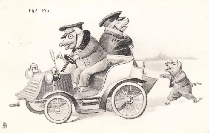 Framed Print : Two pigs in a car on a postcard Framed Print : Two pigs in a car on a postcard