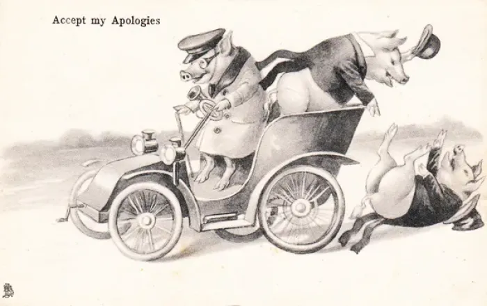 Framed Print : Pigs in a car on a postcard Framed Print : Pigs in a car on a postcard