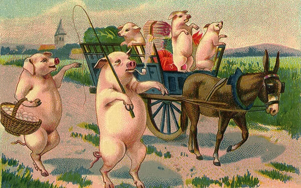 Pigs in Cart