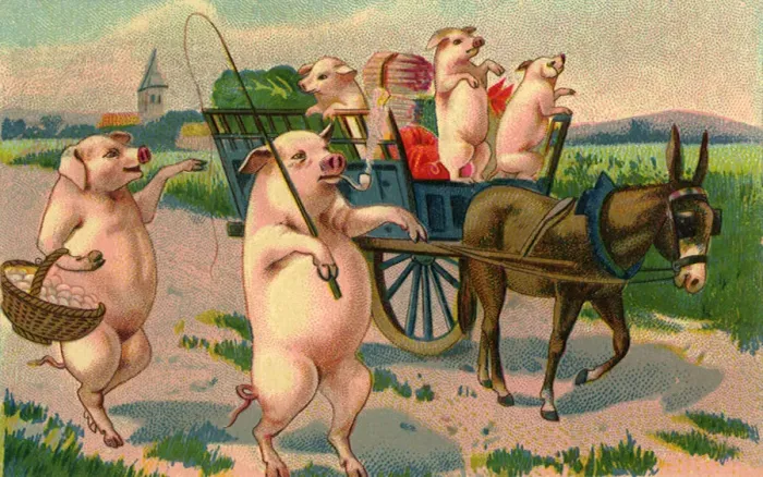 Framed Print : Pigs in Cart Framed Print : Pigs in Cart