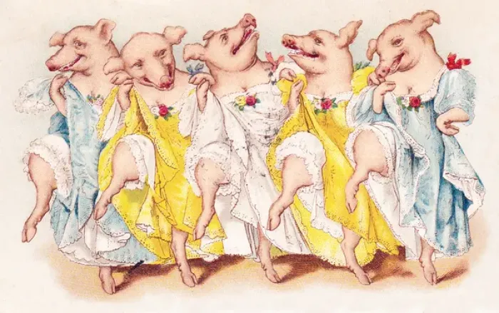 Framed Print : Five pigs dancing the cancan on a French postcard Framed Print : Five pigs dancing the cancan on a French postcard