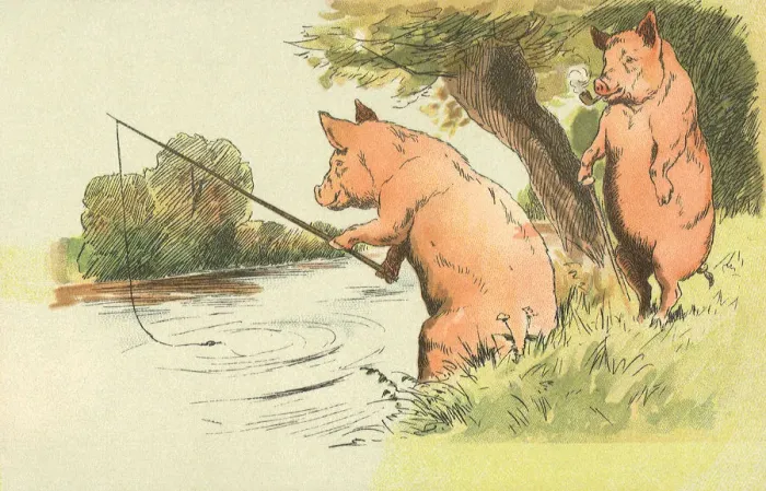 Framed Print : Pigs Fishing Date: 1910 Framed Print : Pigs Fishing Date: 1910