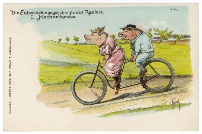 Framed Print : Pigs on Honeymoon Framed Print : Pigs on Honeymoon