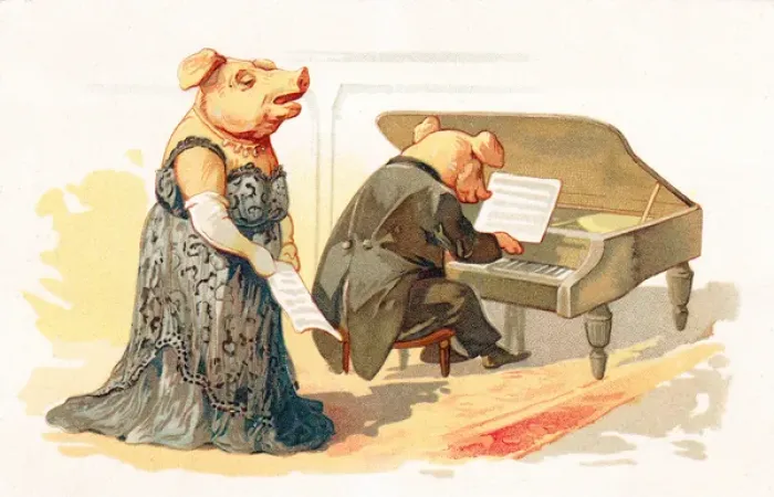 Framed Print : Two pigs performing in a concert Framed Print : Two pigs performing in a concert