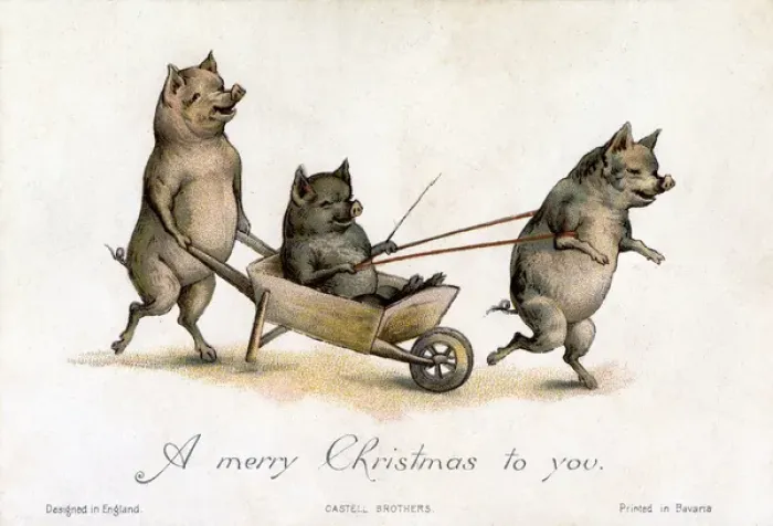 Framed Print : Pigs playing with a wheelbarrow Framed Print : Pigs playing with a wheelbarrow
