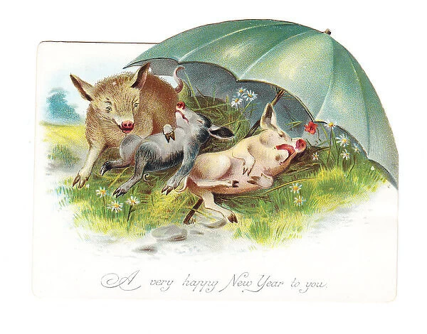 Three pigs resting on a New Year card