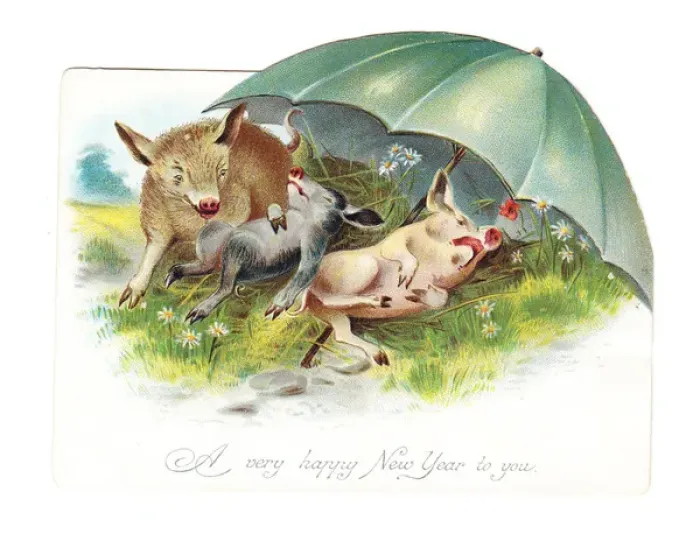 Framed Print : Three pigs resting on a New Year card Framed Print : Three pigs resting on a New Year card