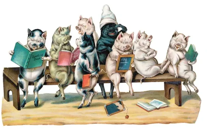 Framed Print : Pigs sitting on a school bench on a Victorian scrap Framed Print : Pigs sitting on a school bench on a Victorian scrap